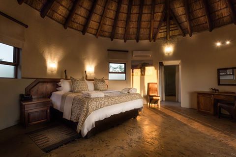 Safari Lodge in South Africa | Safari in Limpopo | Mopane Bush Lodge