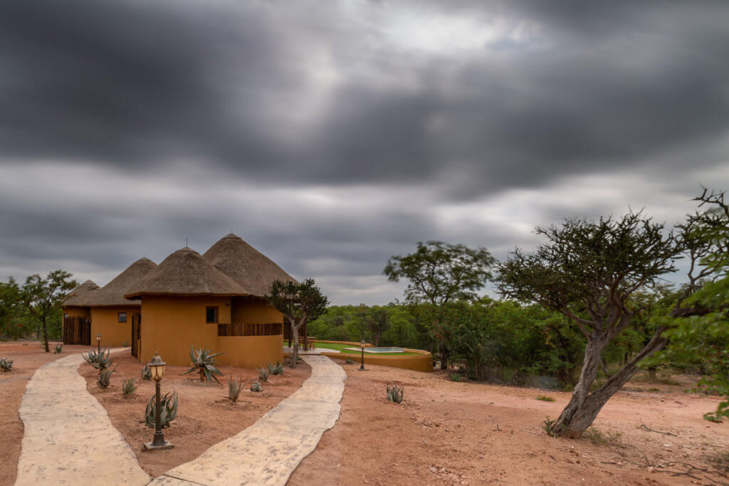 Safari lodge in south africa | Mopane Bush Lodge