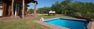 game lodges in south africa | Mopane Bush Lodge