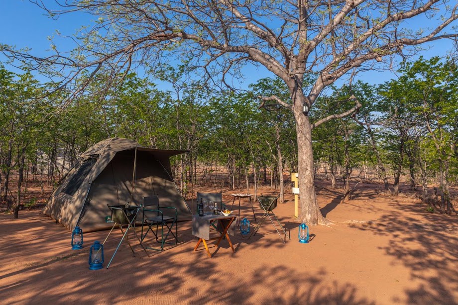 campsites in south africa | Mopane Bush Lodge