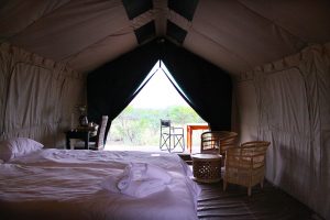 tented camps in south africa | mopane bush lodge